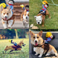 Halloween Dog Costume Pet Accessories Funny Dress Up for Small Medium Dogs - Little Devil Riding-S