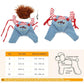 Halloween Dog Costume Pet Accessories Funny Dress Up for Small Medium Dogs - Deadly Doll-M