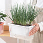 Balcony Vegetable Pot Planter Lazy Self Priming Flower Pot for Indoor Gardening - Pink