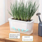 Balcony Vegetable Pot Planter Lazy Self Priming Flower Pot for Indoor Gardening - White