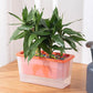 Balcony Vegetable Pot Planter Lazy Self Priming Flower Pot for Indoor Gardening - White