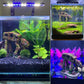 Aquascape Car Theme Fish Tank Ornament Decoration Resin Aquarium Landscape Decor