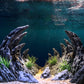 Aquarium Resin Dragon Stone Rock Decorative Ornaments Fish Tank Landscape - Dragon Valley 4