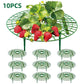 Strawberry Planting Shelf Garden Tools Vegetable Cultivation Rack Potted Stand