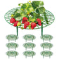 Strawberry Planting Shelf Garden Tools Vegetable Cultivation Rack Potted Stand