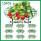 Strawberry Planting Shelf Garden Tools Vegetable Cultivation Rack Potted Stand