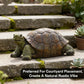 Simulation Turtle Ornaments Resin Craft for Home Office Tabletop Nautical Decor