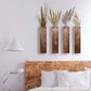 4PCS Wood Plant Wall Shelf Durable Aesthetic for Indoor Wall Decor Storage Use