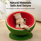 Watermelon Cat Scratching Pot Board All in One Scratcher Toy for Cats Kitten
