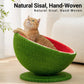Watermelon Cat Scratching Pot Board All in One Scratcher Toy for Cats Kitten