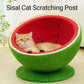Watermelon Cat Scratching Pot Board All in One Scratcher Toy for Cats Kitten