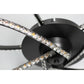 Irie Dimmable 5 Lights LED Ceiling Light - Black
