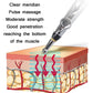 Electronic Acupuncture Pen Pain Relief & Meridian Point Finder