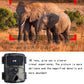 20mp 1080p Infrared Cameras with 38 Ir Lamps for Hd Monitoring