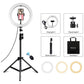 10.2 Ring Light With Tripod Usb 3 Modes Dual Colour Diffuse Light Phone Clamp Remote - Black