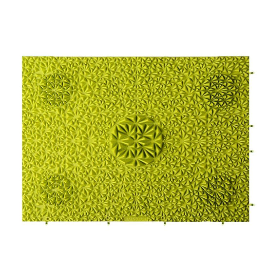 Fitness Toe Press Board For Home Foot Massage - Tree Bud Gree