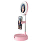 Foldable Desktop Makeup Mirror Holder With Storage