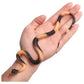 RUBBER SNAKE Halloween Fake Toy Soft Party Prop Trick - Assorted Colours