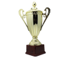 Large Classic Gold Trophy Cup Novelty Winners Prize Solid Achievement Award