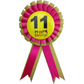 BIRTHDAY BADGE Party Favour Award Rosette Fancy Dress Girls Boys Childrens Kids -