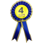 BIRTHDAY BADGE Party Favour Award Rosette Fancy Dress Girls Boys Childrens Kids -