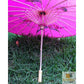 PARASOL UMBRELLA Chinese Japanese Bamboo Flower Pattern Fabric 80cm Diameter - Hot Pink