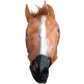 Horse Head Face Mask Halloween Latex Rubber Costume Party - One Size