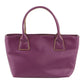 Milleni Mini Handbag Bag in Plum