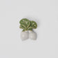 Chopstick Rest White & Green Radish