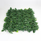 Laurel Hedge Panels UV Resistant 1m X 1m