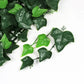 Boston Ivy Leaf Screen Green Wall Panel UV Resistant 1m x 1m