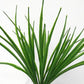 Grass Stem UV Resistant 30cm