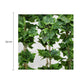 Ivy Garland Vines 260cm Each ? 5 Per Pack