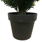 Artificial Topiary Shrub (Hedyotis) UV Resistant 50cm