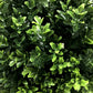 Artificial Topiary Shrub (Hedyotis) UV Resistant 50cm