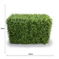 Deluxe Portable Buxus Hedge UV Resistant 100cm Long x 50cm High