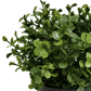 Small Potted Artificial Buxus Plant UV Resistant 20cm