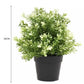 Small Potted Artificial White Jade Plant UV Resistant 20cm