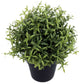 Small Potted Artificial Rosemary Herb Plant UV Resistant 20cm