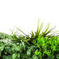Wild Tropics UV Resistant Vertical Garden Premium Sample