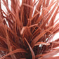 Artificial Ornamental Potted Dense Burgundy Grass UV Resistant 38cm