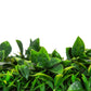 Flowering Lilac Vertical Garden / Green Wall UV Resistant 100cm X 100cm Panel