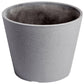 Premium Areca Palm Tree and Render Pot Bundle