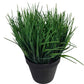 Potted Ornamental Artificial Mondo Dense Green Grass UV Resistant 30cm