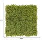 Nearly Natural Moss Panel UV Resistant 100cm x 100cm (Back Order Only)