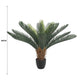 Artificial Cyca (Cycad) Plant 60cm