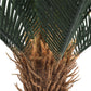 Artificial Cyca (Cycad) Plant 60cm