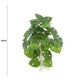Decorative Artificial Monstera Adansonii Plant in Ceramic Bowl 30cm