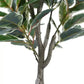 Artificial Bushy Variegated Ficus Tree (Rubber Tree) 120cm