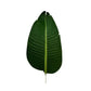 Grand Artificial Potted Travellers Palm (Banana Palm Tree) 180cm